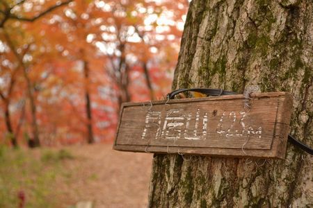 モミジ、もみじ、紅葉♪の奥久慈男体山　縦走路