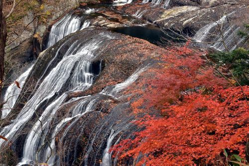 モミジ、もみじ、紅葉♪の奥久慈男体山　縦走路