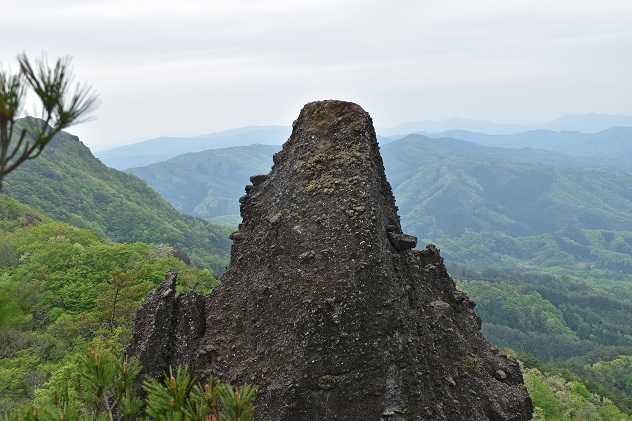 霊山　～シロヤシオ満開～