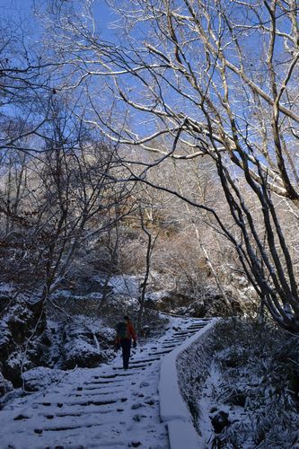 寒気が作り出した冬の景色：霊山