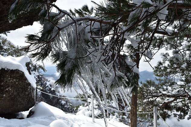 なごり雪と雲海の霊山