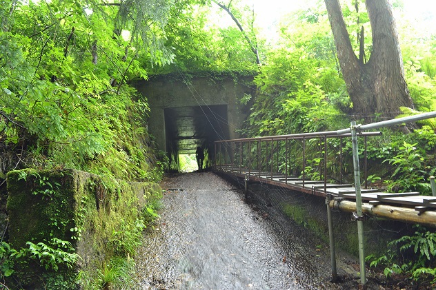 面白山紅葉川渓谷トレッキング
