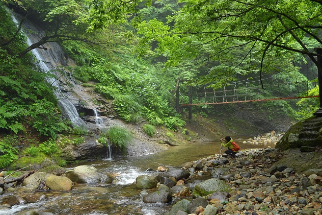 面白山紅葉川渓谷トレッキング