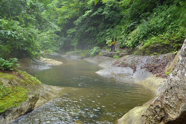 面白山紅葉川渓谷トレッキング