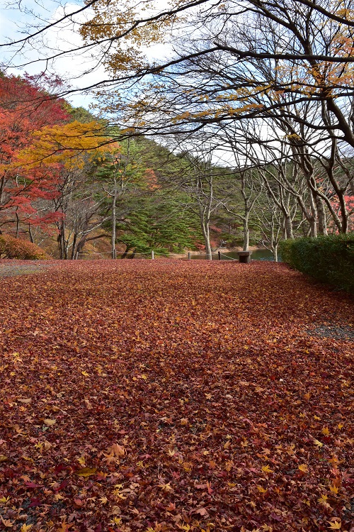 一週間後の半田沼公園