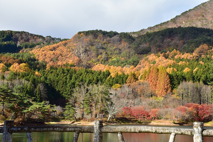 一週間後の半田沼公園