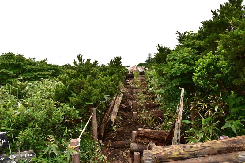 酷暑を避けて避暑地の南蔵王へ