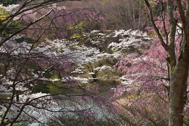 半田山公園