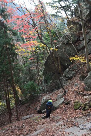 2つの岩峰、二ツ箭山にチャレンジ