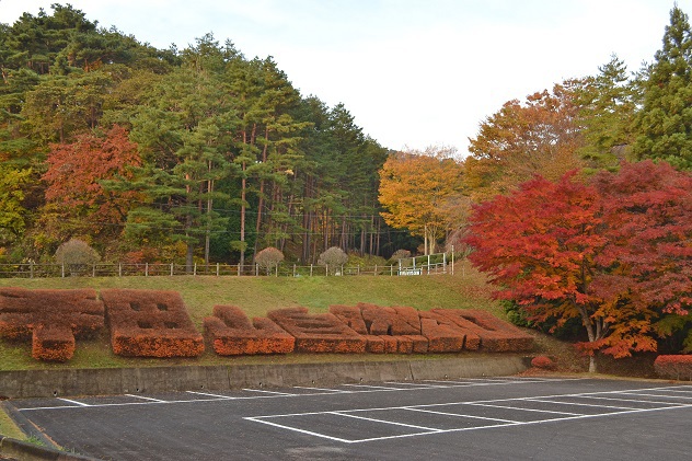 半田山自然公園さんぽ