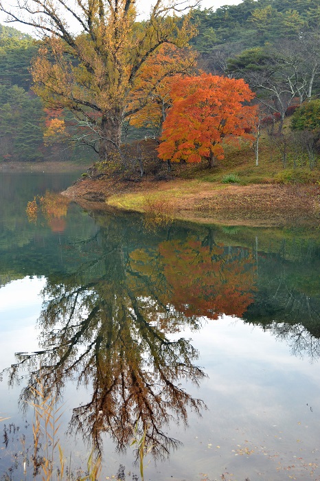 半田山自然公園さんぽ