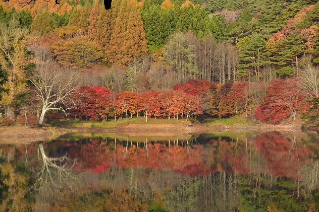 半田山自然公園さんぽ
