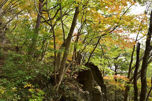 “秋匂う”　霊山