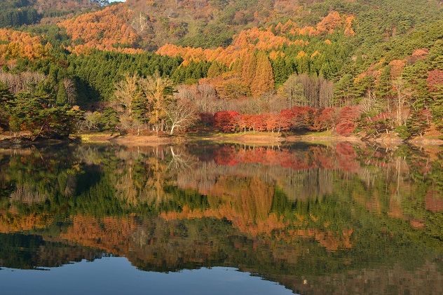 半田山自然公園さんぽ