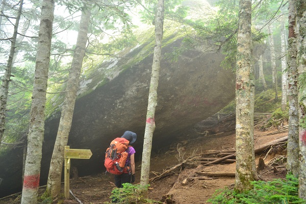 鳳凰山の3つの峰をめぐり歩く