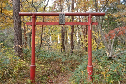 半田山自然公園さんぽ