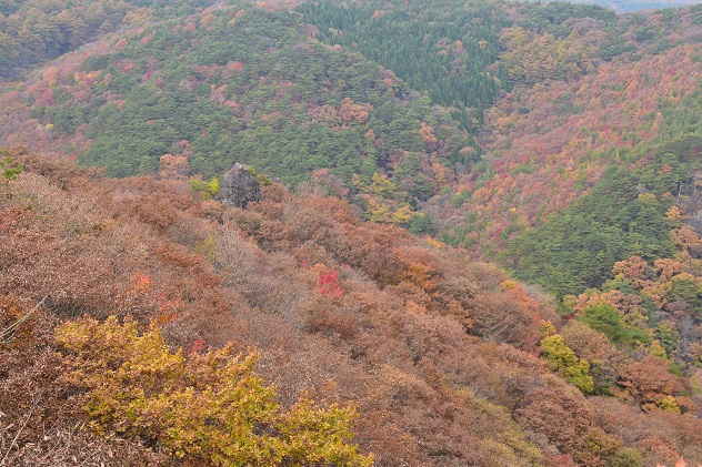 極上の秋景色　霊山