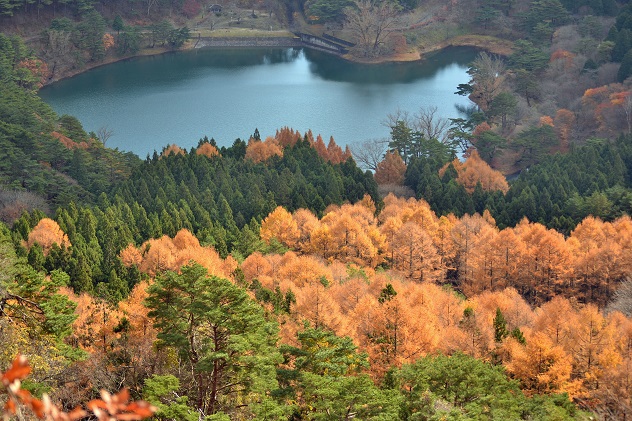 半田山自然公園＆不動尊公園