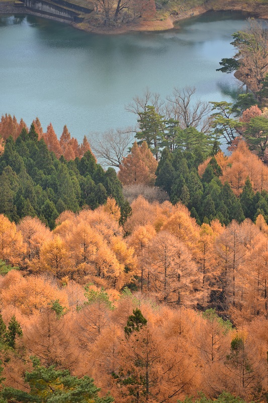 半田山自然公園＆不動尊公園