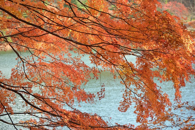 半田山自然公園＆不動尊公園