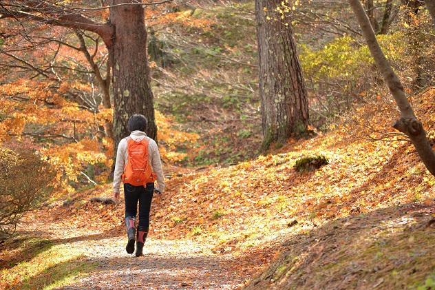 半田山自然公園＆不動尊公園