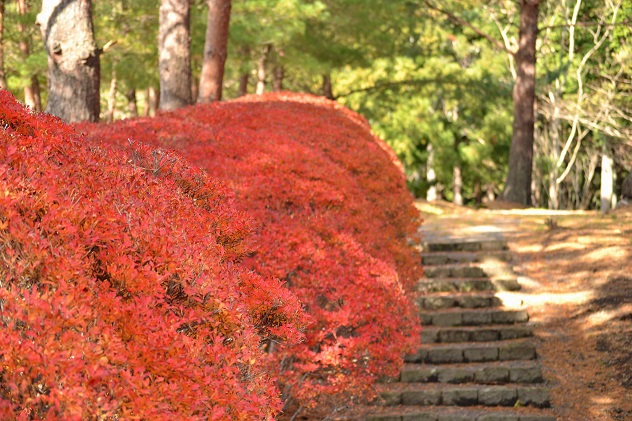半田山自然公園＆不動尊公園