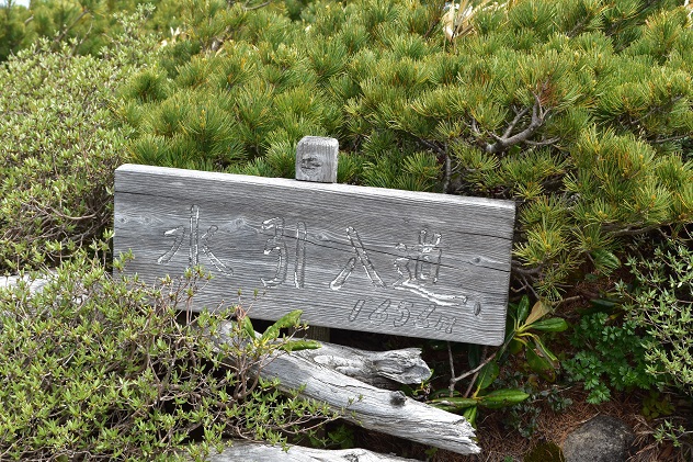 咲き匂う南蔵王