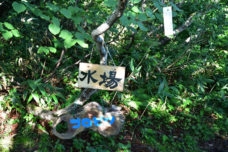 以東岳を目指す予定だったが・・・。