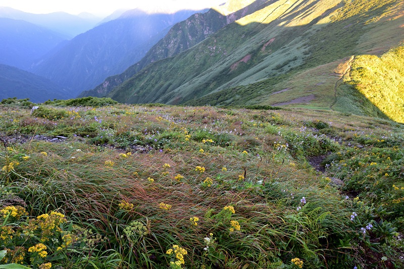 南寒江山