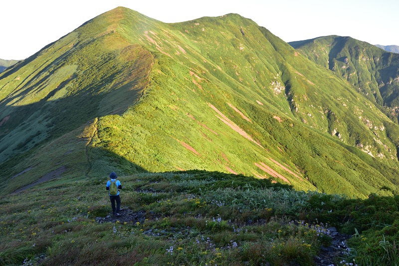 南寒江山