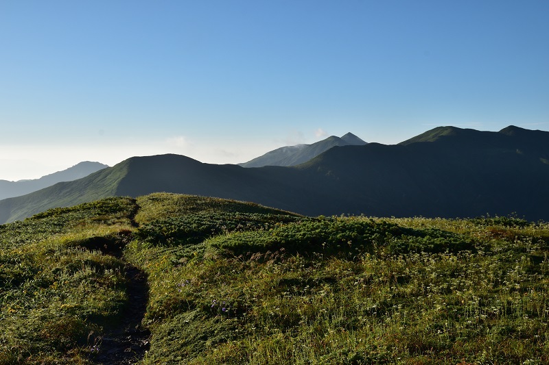 南寒江山