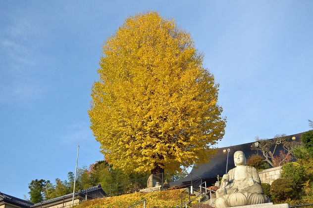 深山の秋を踏みしめる