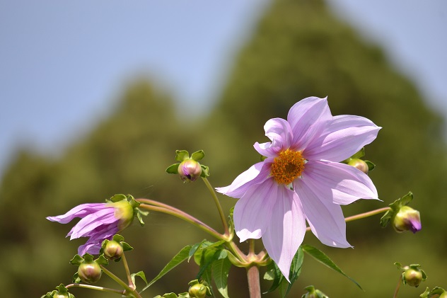 深山の秋を踏みしめる