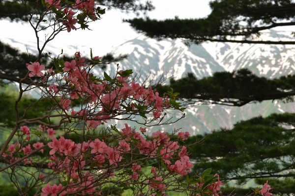 倉手山からの素晴らしき飯豊連峰