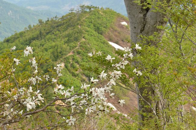 倉手山からの素晴らしき飯豊連峰