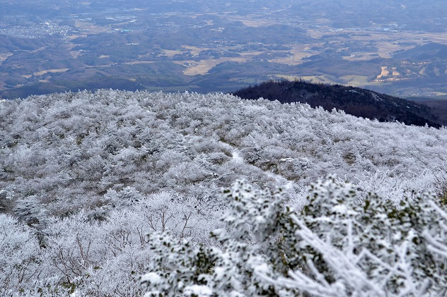 安達太良山の霧氷