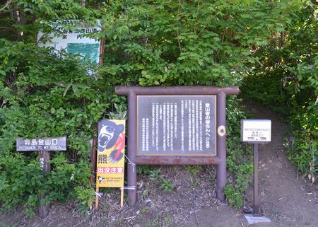 磐梯山　～初夏の風にゆれるバンダイクワガタ～