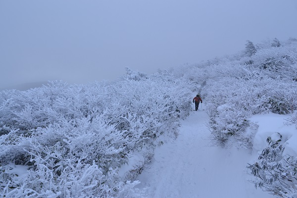 2017年の初日の出は安達太良山