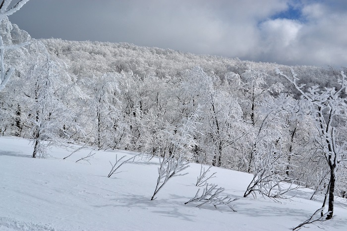 消えたアイスモンスター　ライザワールド～刈田岳