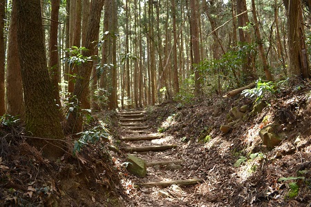 春芽衣てきた深山