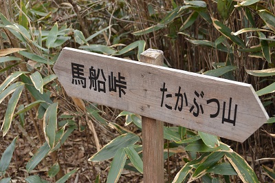 春芽衣てきた深山