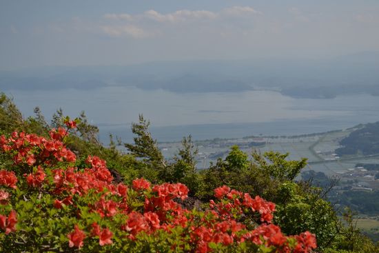 磐梯山　～初夏の風にゆれるバンダイクワガタ～