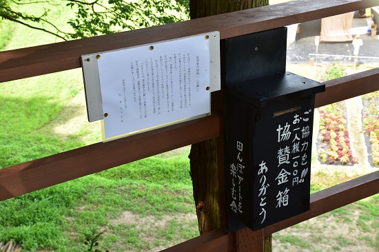 牟宇姫と向日葵の笑み