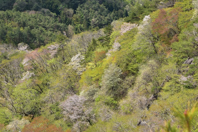 “山笑う”　霊山