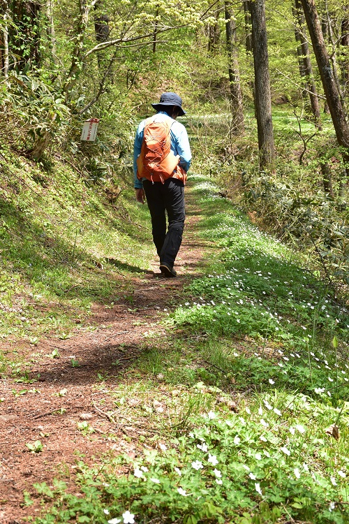 “山笑う”　霊山