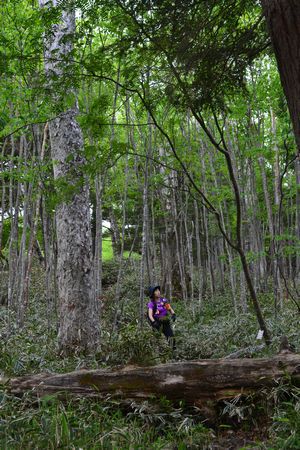 中禅寺湖(千手ヶ浜)のクリンソウと半月山