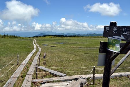 さわやかな　初夏の風に　花ゆれる南会津