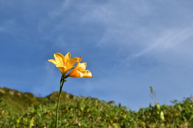 今年もアルプスに行くぞ！Ⅱ