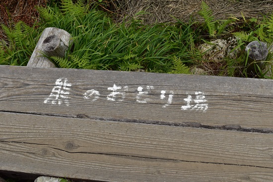 今年もアルプスに行くぞ！Ⅲ