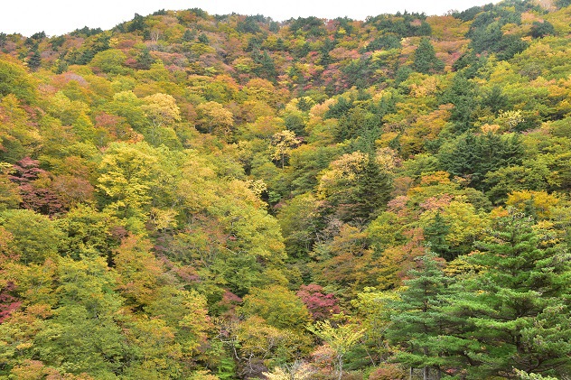 安達太良山の湯川渓谷